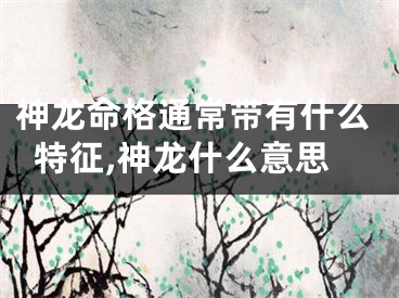 神龙命格通常带有什么特征,神龙什么意思