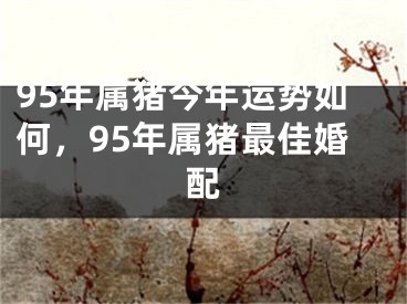 95年属猪今年运势如何，95年属猪最佳婚配