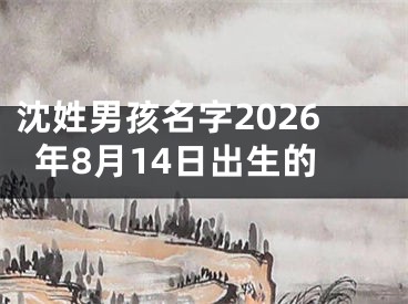 沈姓男孩名字2026年8月14日出生的