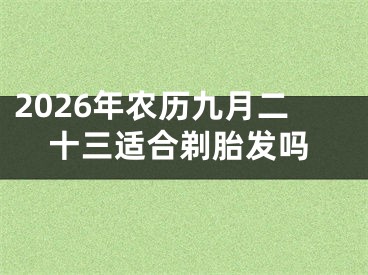 2026年农历九月二十三适合剃胎发吗