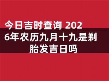 今日吉时查询 2026年农历九月十九是剃胎发吉日吗