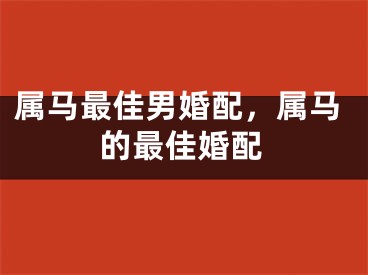 属马最佳男婚配,属马的最佳婚配