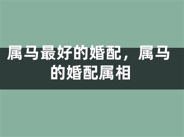 属马最好的婚配，属马的婚配属相