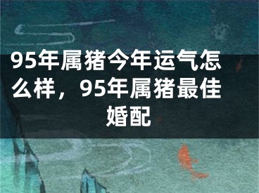 95年属猪今年运气怎么样,95年属猪最佳婚配