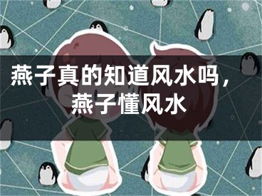 燕子真的知道风水吗，燕子懂风水