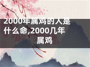 2000年属鸡的人是什么命,2000几年属鸡