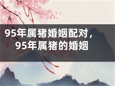 95年属猪婚姻配对,95年属猪的婚姻
