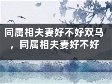 同属相夫妻好不好双马，同属相夫妻好不好