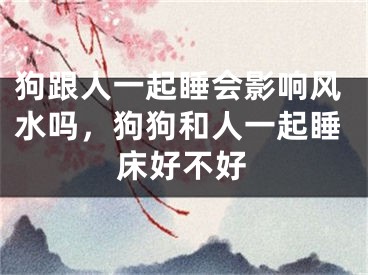 狗跟人一起睡会影响风水吗，狗狗和人一起睡床好不好