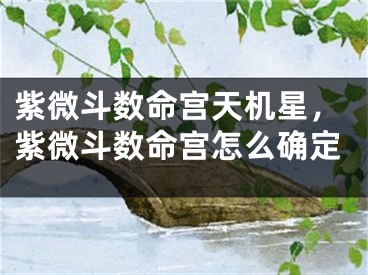 紫微斗数命宫天机星，紫微斗数命宫怎么确定