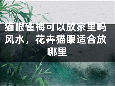 猫眼雀梅可以放家里吗风水，花卉猫眼适合放哪里
