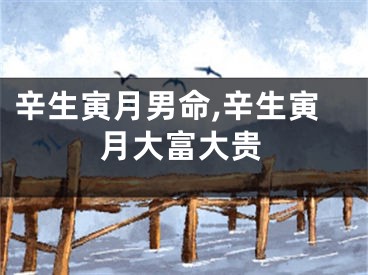 辛生寅月男命,辛生寅月大富大贵