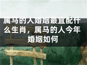 属马的人婚姻最宜配什么生肖，属马的人今年婚姻如何