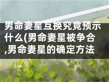 男命妻星互换究竟预示什么(男命妻星被争合,男命妻星的确定方法