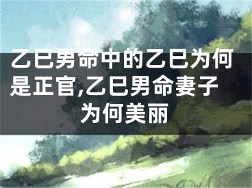 乙巳男命中的乙巳为何是正官,乙巳男命妻子为何美丽