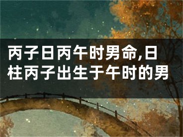 丙子日丙午时男命,日柱丙子出生于午时的男
