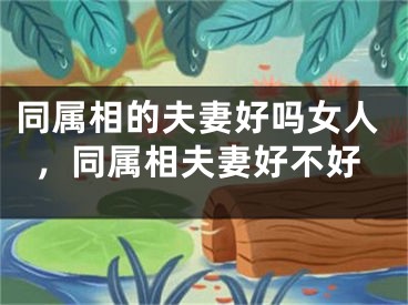 同属相的夫妻好吗女人，同属相夫妻好不好