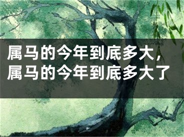 属马的今年到底多大，属马的今年到底多大了
