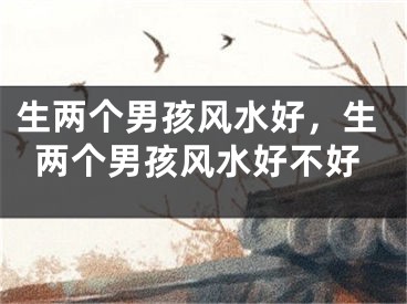 生两个男孩风水好，生两个男孩风水好不好