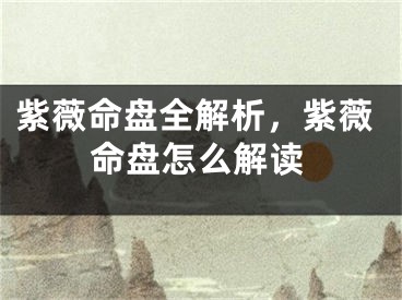 紫薇命盘全解析,紫薇命盘怎么解读