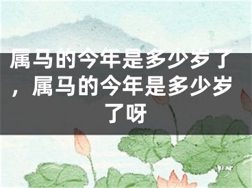 属马的今年是多少岁了，属马的今年是多少岁了呀