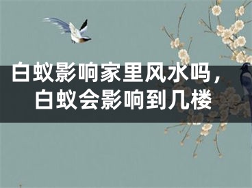 白蚁影响家里风水吗，白蚁会影响到几楼