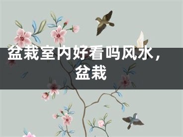 盆栽室内好看吗风水，盆栽