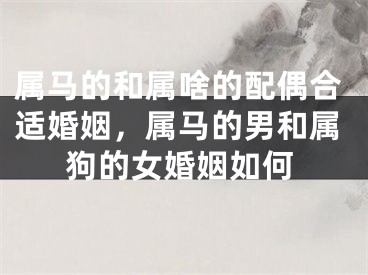 属马的和属啥的配偶合适婚姻，属马的男和属狗的女婚姻如何
