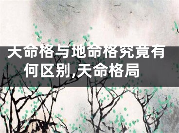 天命格与地命格究竟有何区别,天命格局
