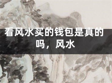 看风水买的钱包是真的吗，风水