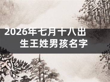 2026年七月十八出生王姓男孩名字