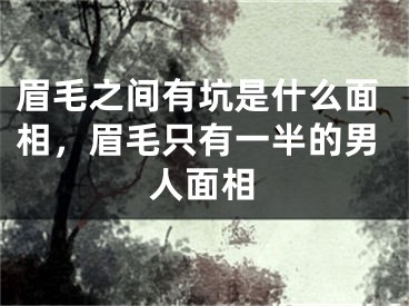 眉毛之间有坑是什么面相，眉毛只有一半的男人面相