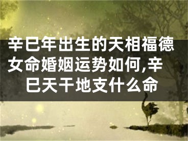 辛巳年出生的天相福德女命婚姻运势如何,辛巳天干地支什么命