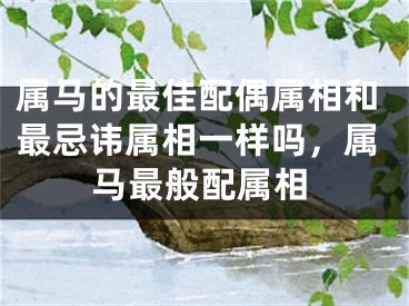 属马的最佳配偶属相和最忌讳属相一样吗，属马最般配属相