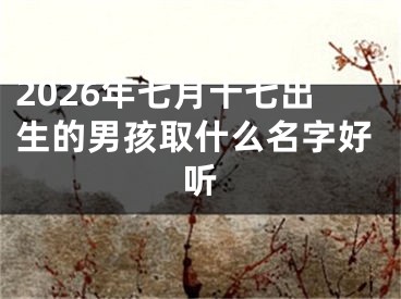 2026年七月十七出生的男孩取什么名字好听