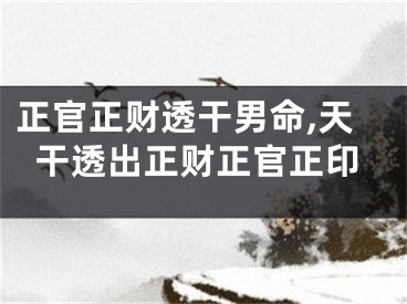 正官正财透干男命,天干透出正财正官正印