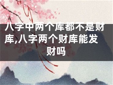 八字中两个库都不是财库,八字两个财库能发财吗