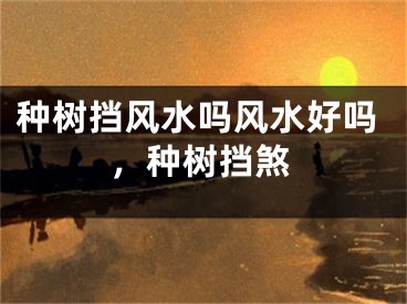 种树挡风水吗风水好吗，种树挡煞