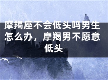 摩羯座不会低头吗男生怎么办，摩羯男不愿意低头