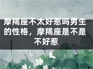 摩羯座不太好惹吗男生的性格，摩羯座是不是不好惹