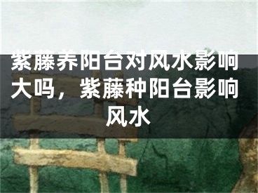 紫藤养阳台对风水影响大吗,紫藤种阳台影响风水