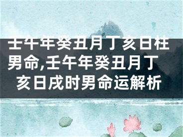 壬午年癸丑月丁亥日柱男命,壬午年癸丑月丁亥日戌时男命运解析