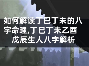 如何解读丁巳丁未的八字命理,丁巳丁未乙酉戊辰生人八字解析