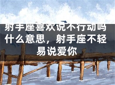 射手座喜欢说不行动吗什么意思，射手座不轻易说爱你