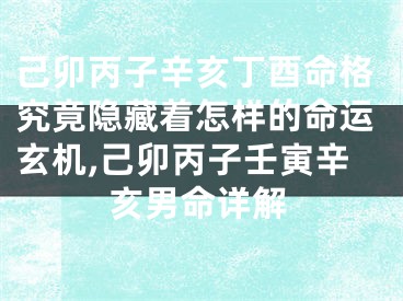 己卯丙子辛亥丁酉命格究竟隐藏着怎样的命运玄机,己卯丙子壬寅辛亥男命详解