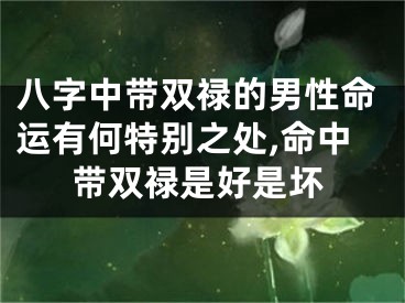 八字中带双禄的男性命运有何特别之处,命中带双禄是好是坏