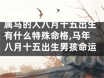 属马的人八月十五出生有什么特殊命格,马年八月十五出生男孩命运