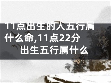 11点出生的人五行属什么命,11点22分出生五行属什么