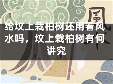 给坟上栽柏树还用看风水吗，坟上栽柏树有何讲究