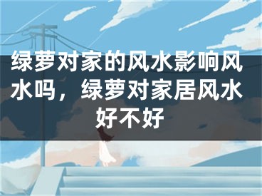 绿萝对家的风水影响风水吗，绿萝对家居风水好不好